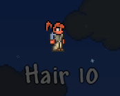 Hair 10.png