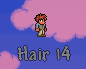 Hair 14.png