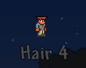 ファイル:Hair 4.png