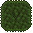 Jungle Wall (placed).png