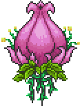 Plantera's First Form.png