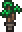 Potted Forest Palm.png