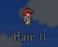 Hair 11.png