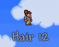 Hair 12.png