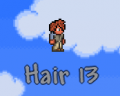 Hair 13.png