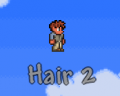 Hair 2.png
