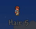 Hair 5.png