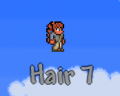 Hair 7.png