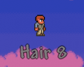 Hair 8.png